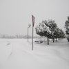 la grande nevicata del febbraio 2012 169